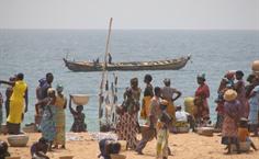 Bringing in the catch of the day in Togo, Africa